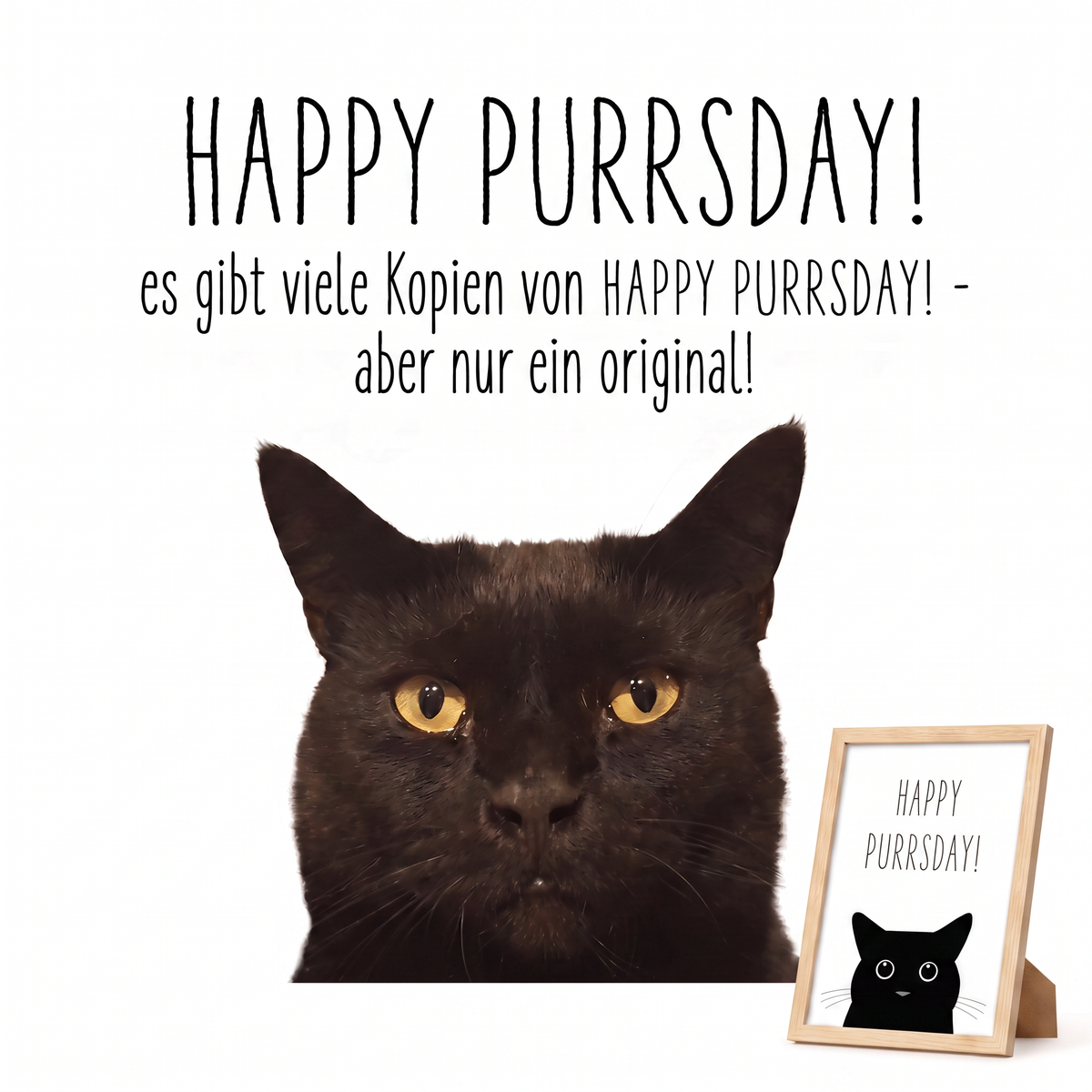 Glückwunsch Postkarte Katze – Lustige Geburtstagskarte mit Spruch | Happy Purrsday Grußkarte
